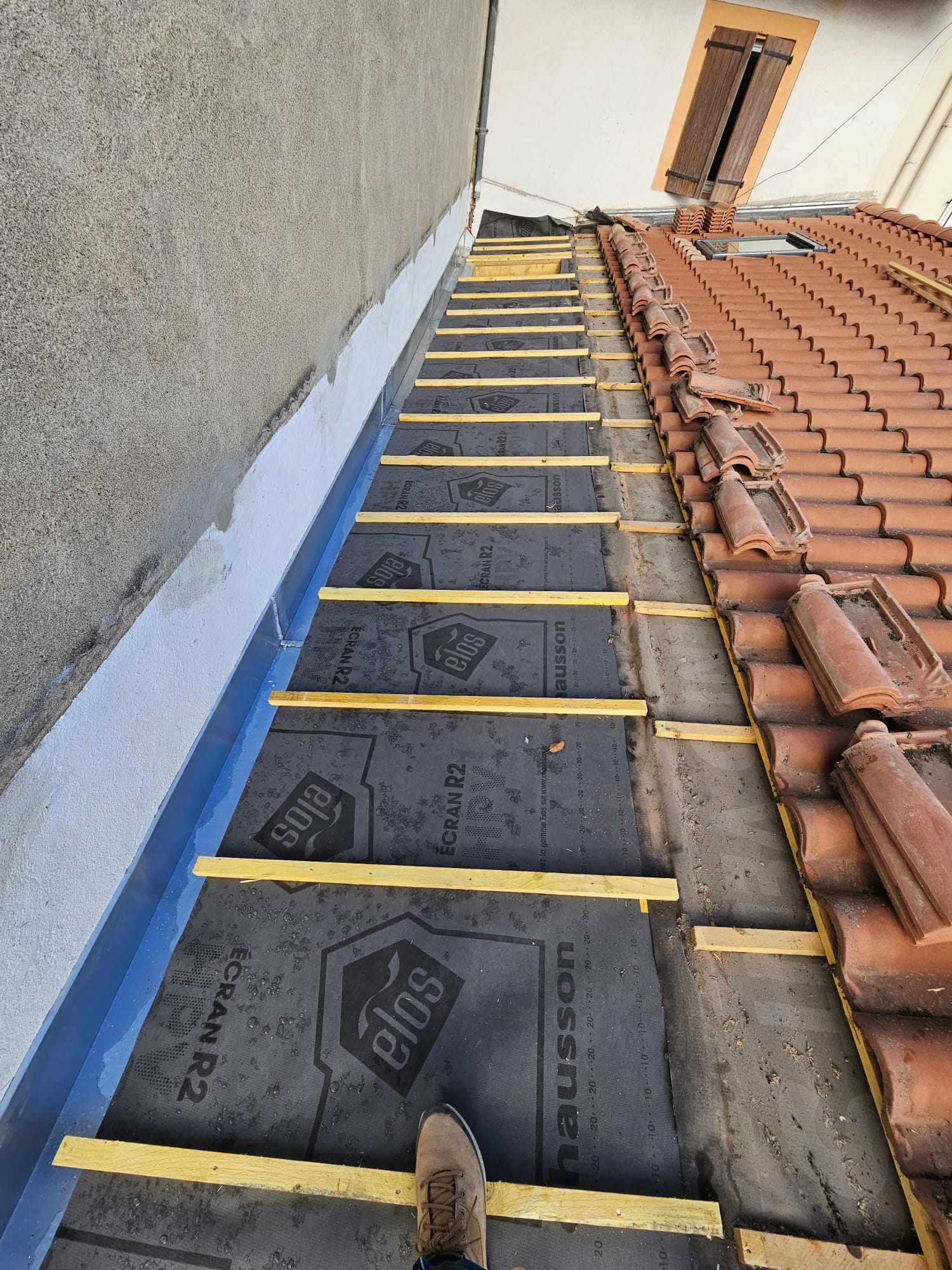 WhatsApp Image 2026 03 22 at 18.44.48 (7)